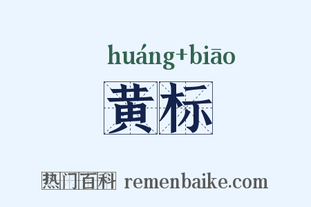 黄标是什么意思的图片
